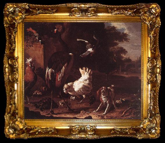 framed  HONDECOETER, Melchior d Birds and a Spaniel in a Garden sf, ta009-2